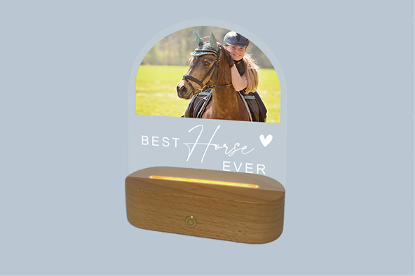 Foto Nachtlicht «Beste Horse Ever»