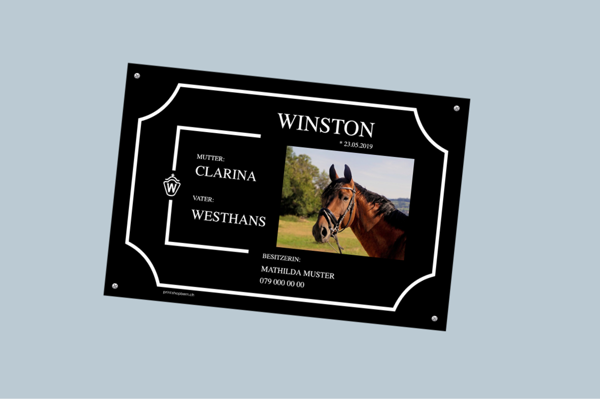 «Winston»